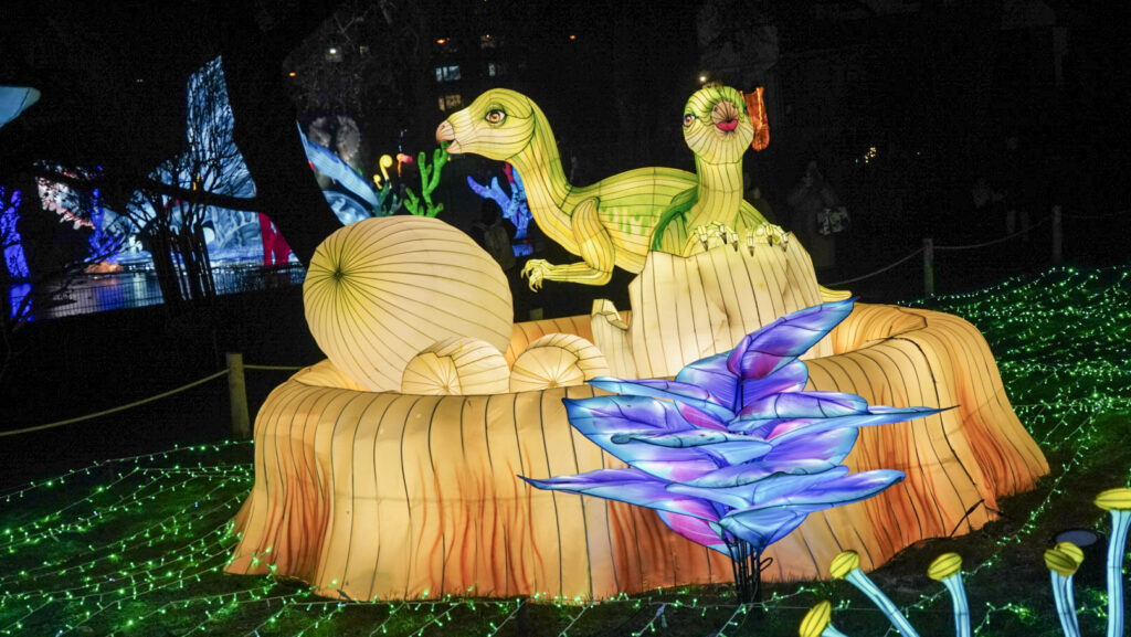 China Lights im K&ouml;lner Zoo