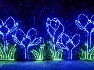 China Lights im K&ouml;lner Zoo
