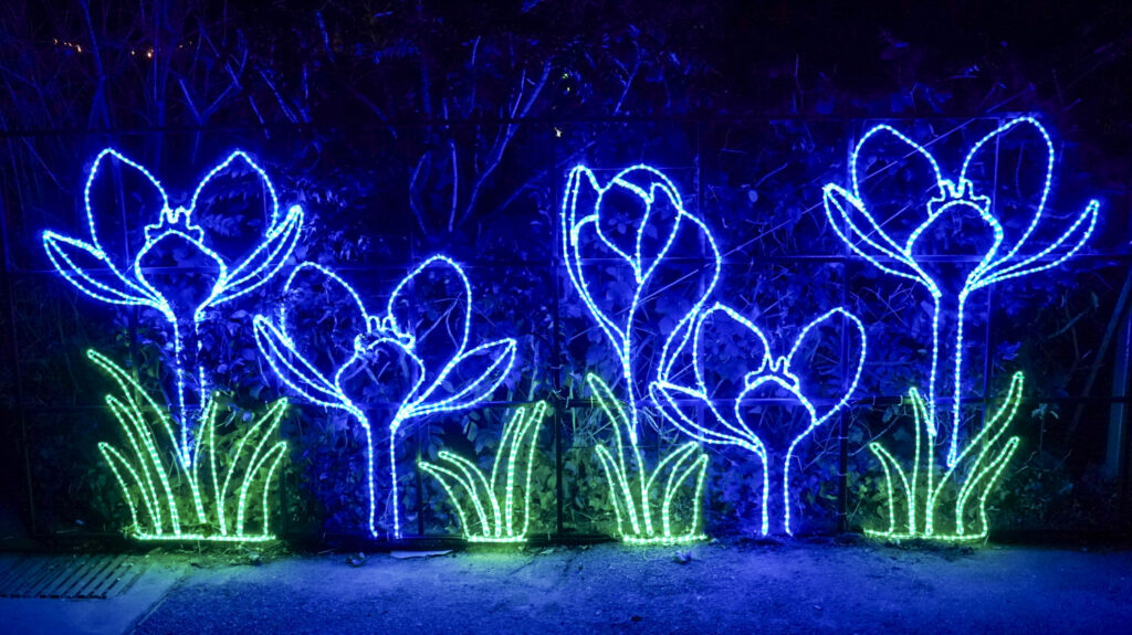 China Lights im K&ouml;lner Zoo