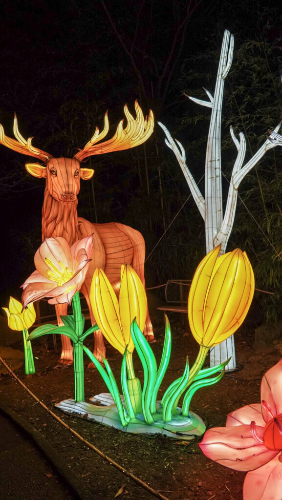 China Lights im K&ouml;lner Zoo