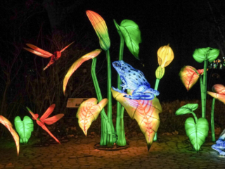 China Lights im K&ouml;lner Zoo