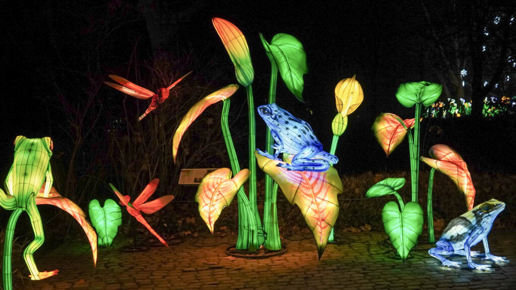 China Lights im K&ouml;lner Zoo