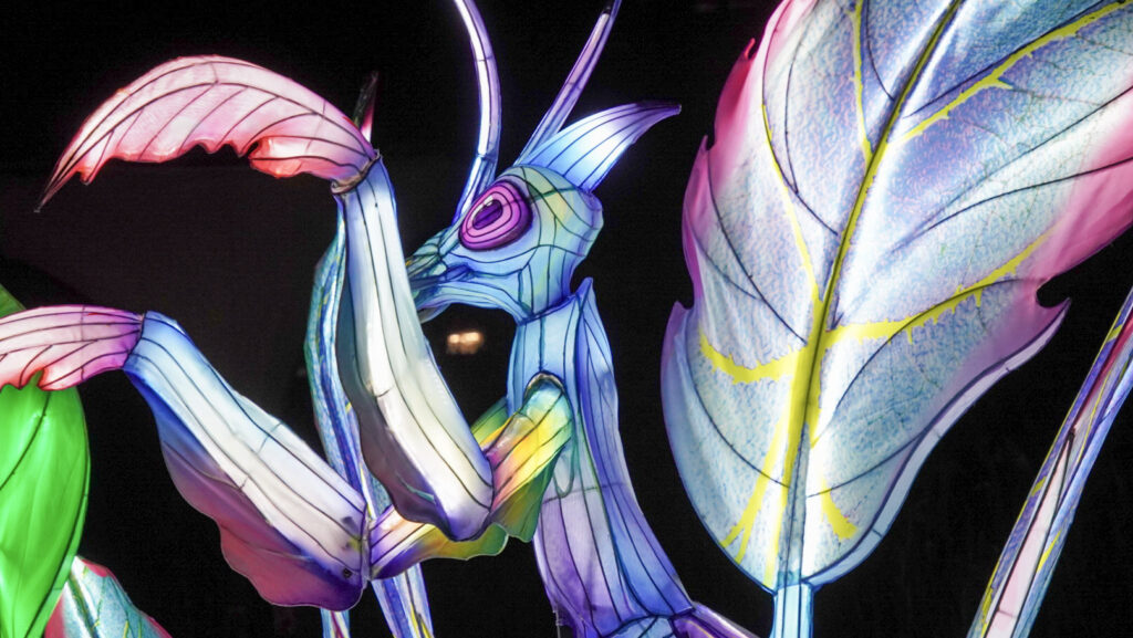 China Lights im K&ouml;lner Zoo