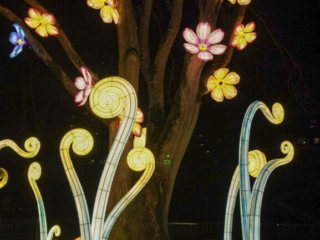 China Lights im K&ouml;lner Zoo