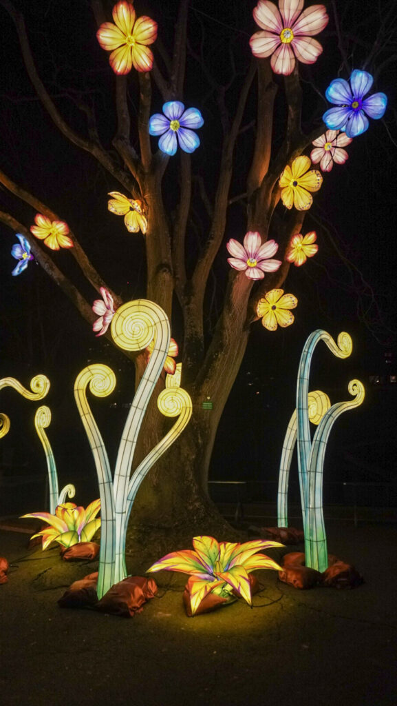 China Lights im K&ouml;lner Zoo