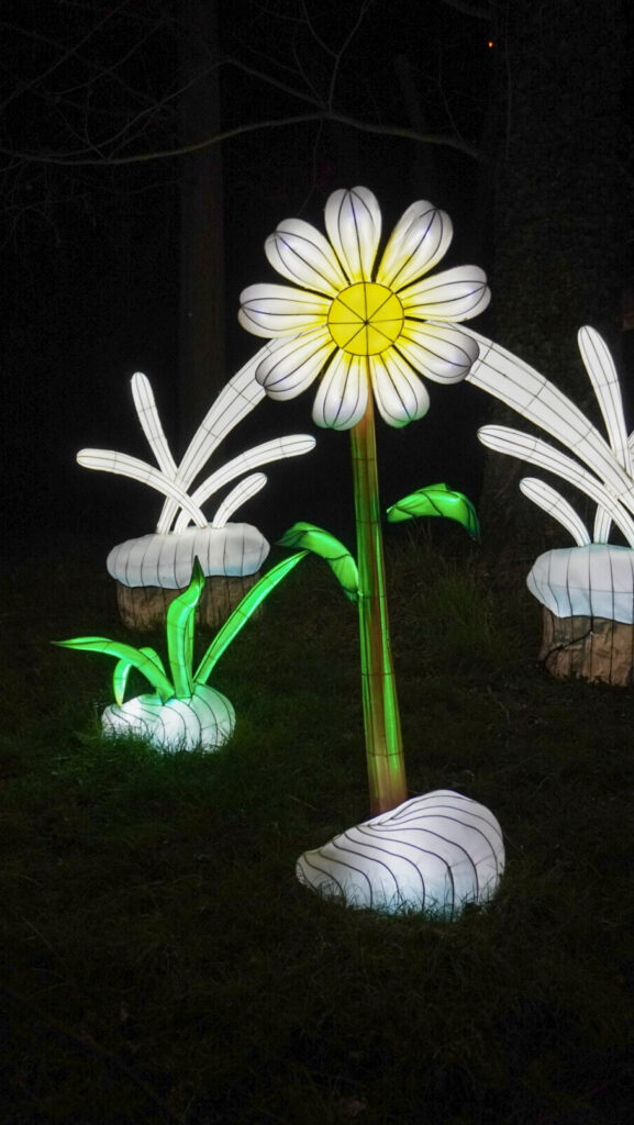 China Lights im K&ouml;lner Zoo