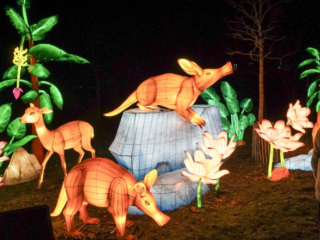 China Lights im K&ouml;lner Zoo