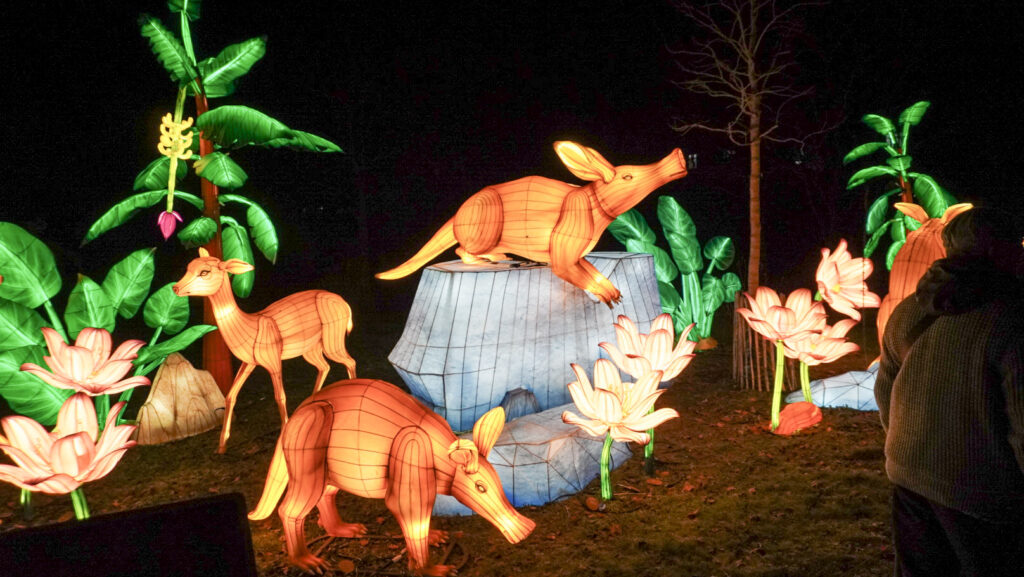 China Lights im K&ouml;lner Zoo