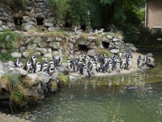 Burgers' Zoo