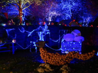 Herbstlichter Brückenkopfpark Jülich Herbstlichter Brückenkopfpark Jülich