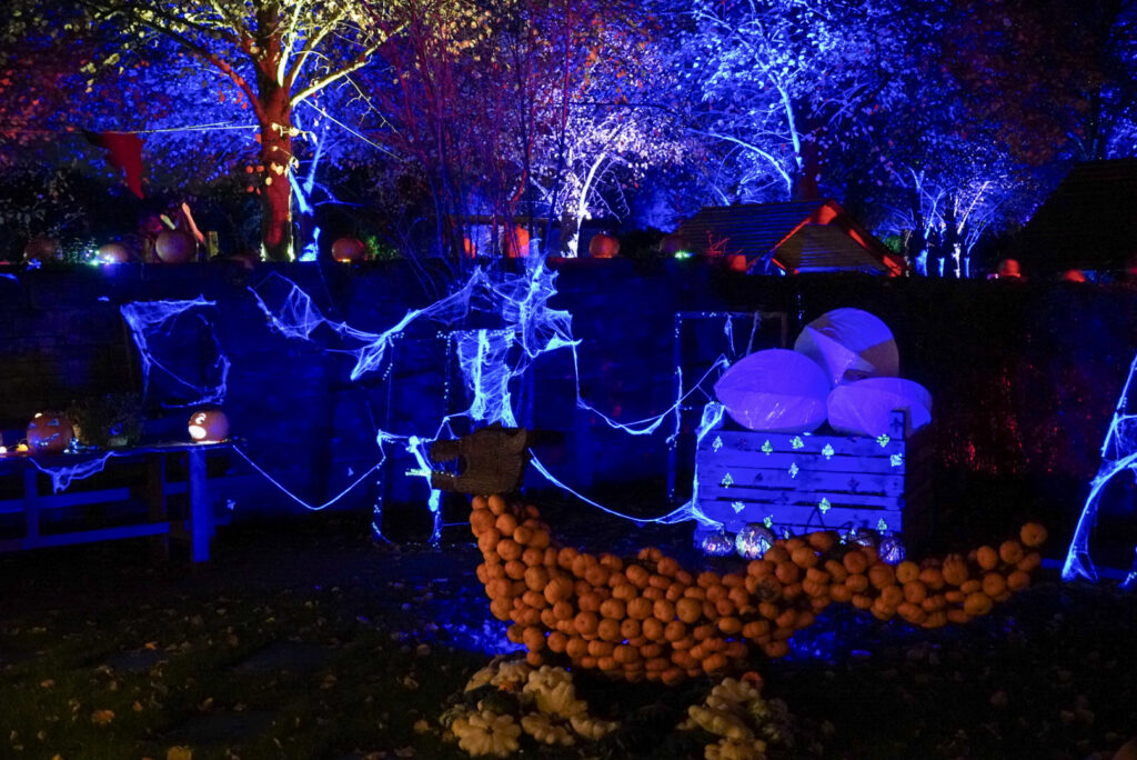 Herbstlichter Br&uuml;ckenkopfpark J&uuml;lich