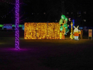 Garden of Lights Garden of Lights
