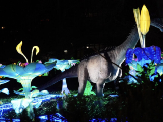 China Lights im K&ouml;lner Zoo