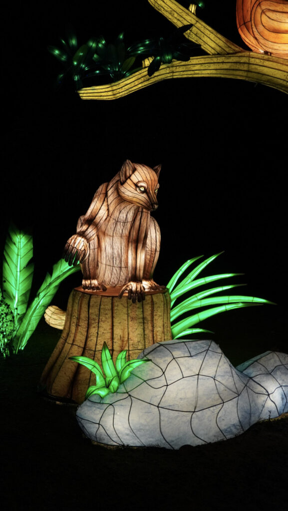 China Lights im K&ouml;lner Zoo