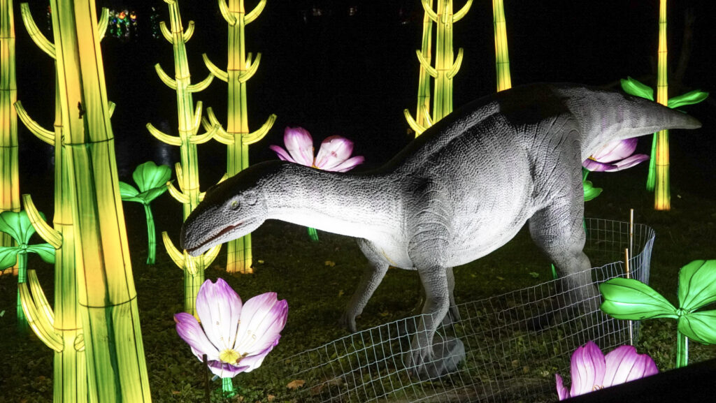 China Lights im K&ouml;lner Zoo