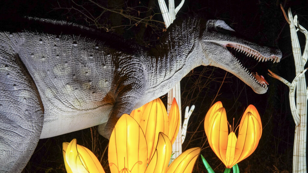 China Lights im K&ouml;lner Zoo