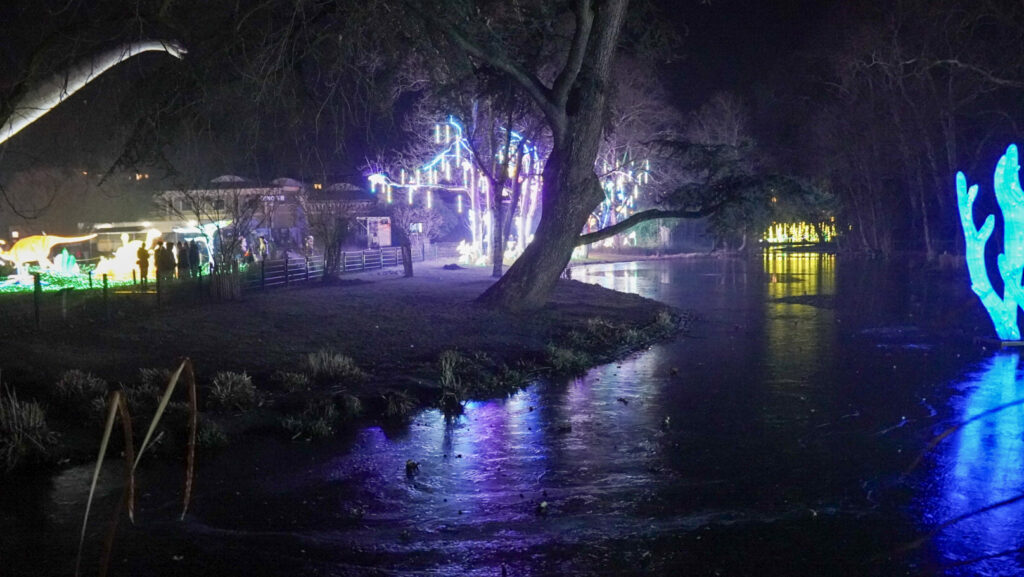 China Lights im K&ouml;lner Zoo