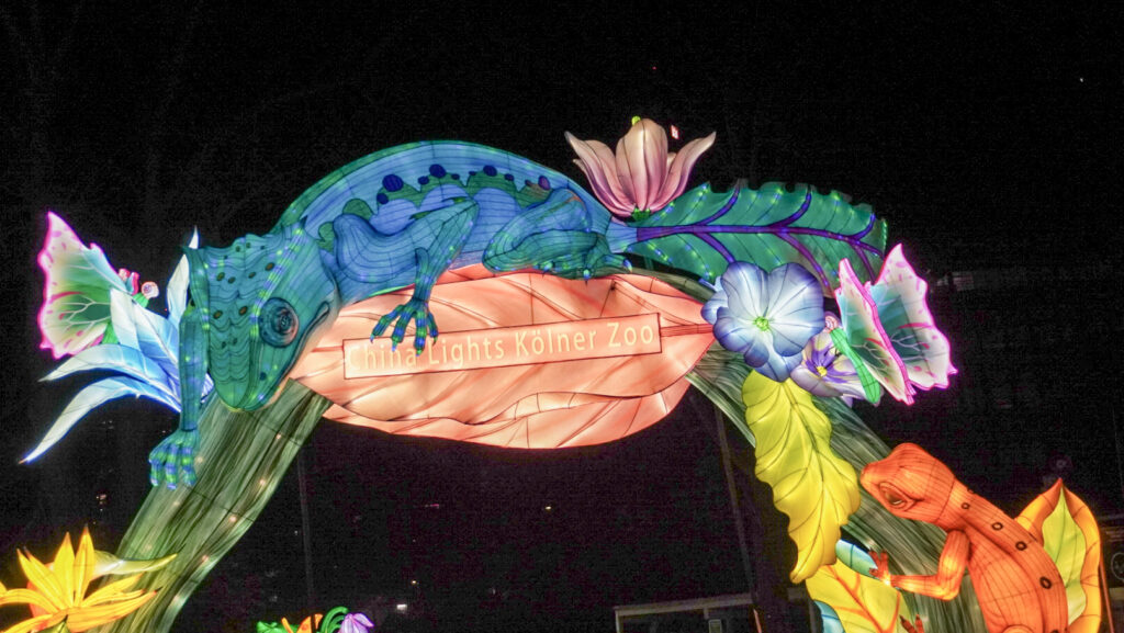 China Lights im K&ouml;lner Zoo
