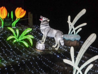 China Lights im K&ouml;lner Zoo
