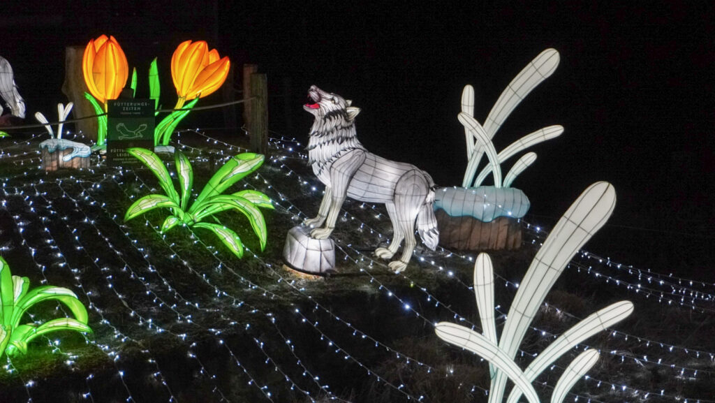 China Lights im K&ouml;lner Zoo