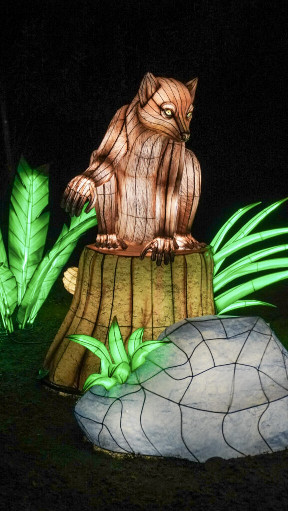 China Lights im K&ouml;lner Zoo