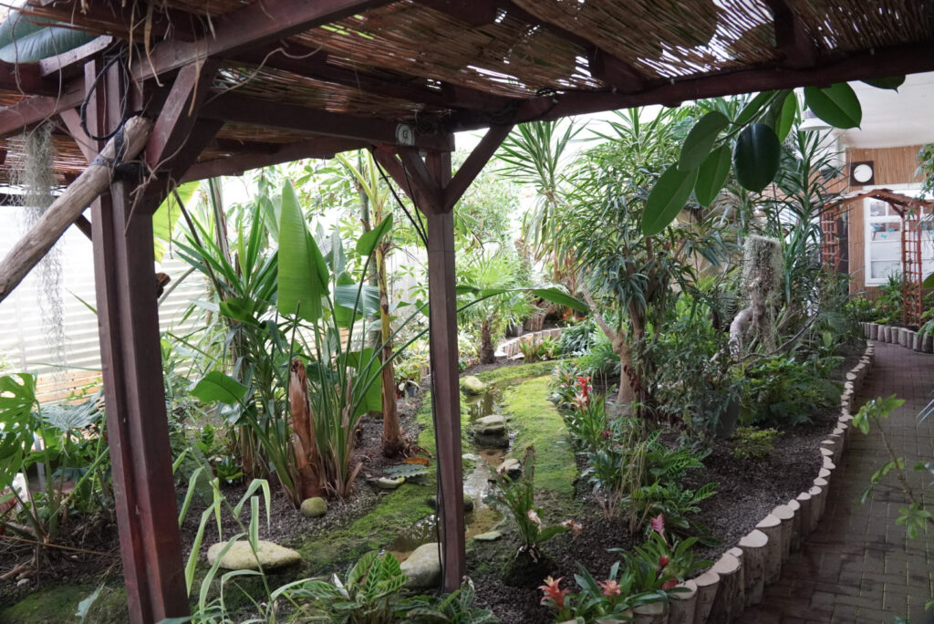 Eifalia Schmetterlingsgarten