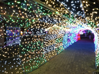 Garden of Lights Garden of Lights