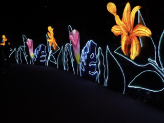 China Lights im K&ouml;lner Zoo