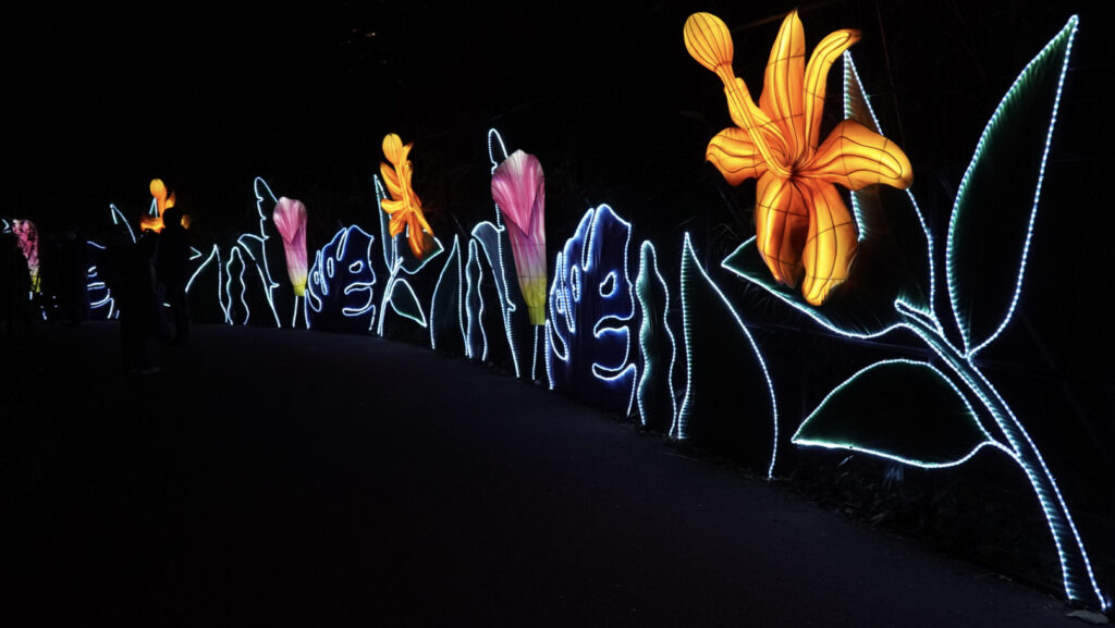 China Lights im K&ouml;lner Zoo