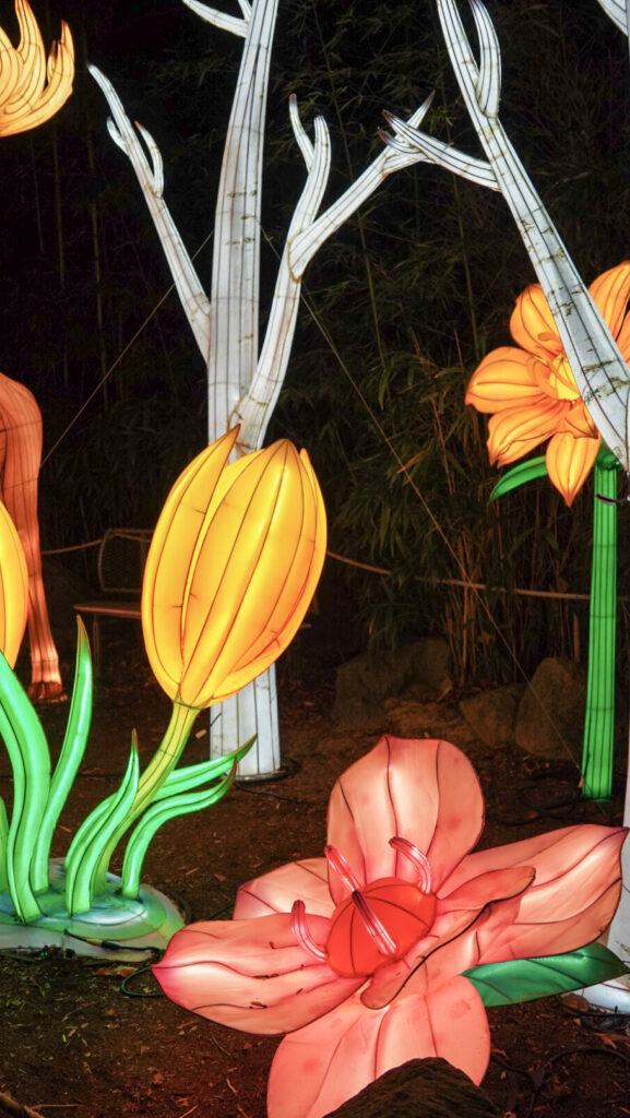 China Lights im K&ouml;lner Zoo