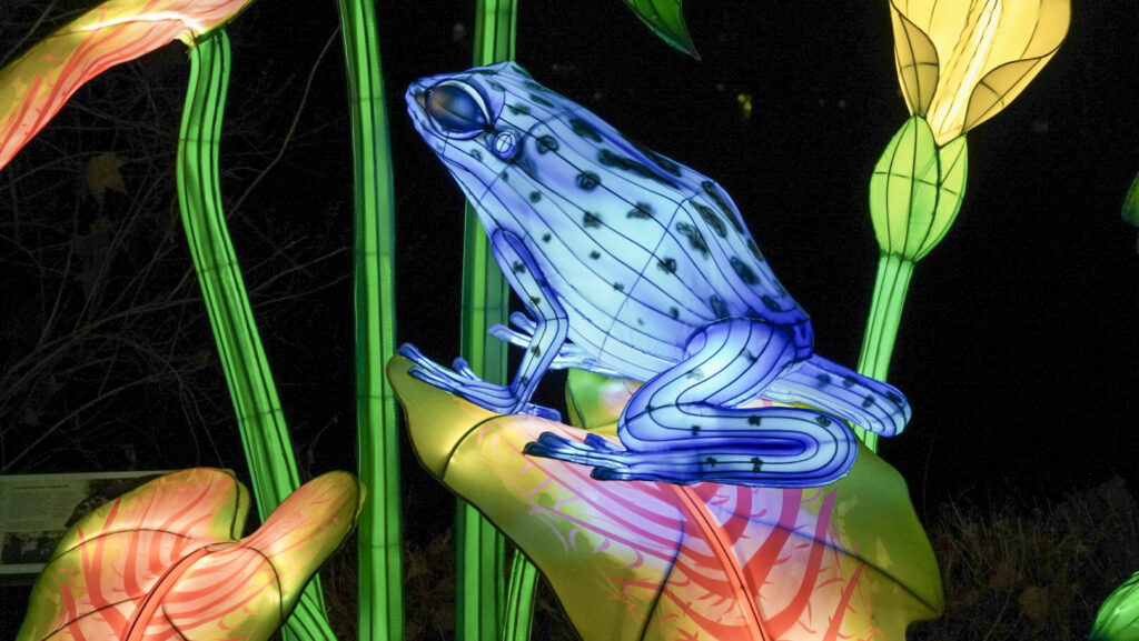 China Lights im K&ouml;lner Zoo