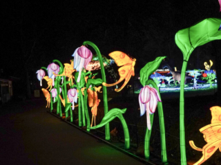 China Lights im K&ouml;lner Zoo