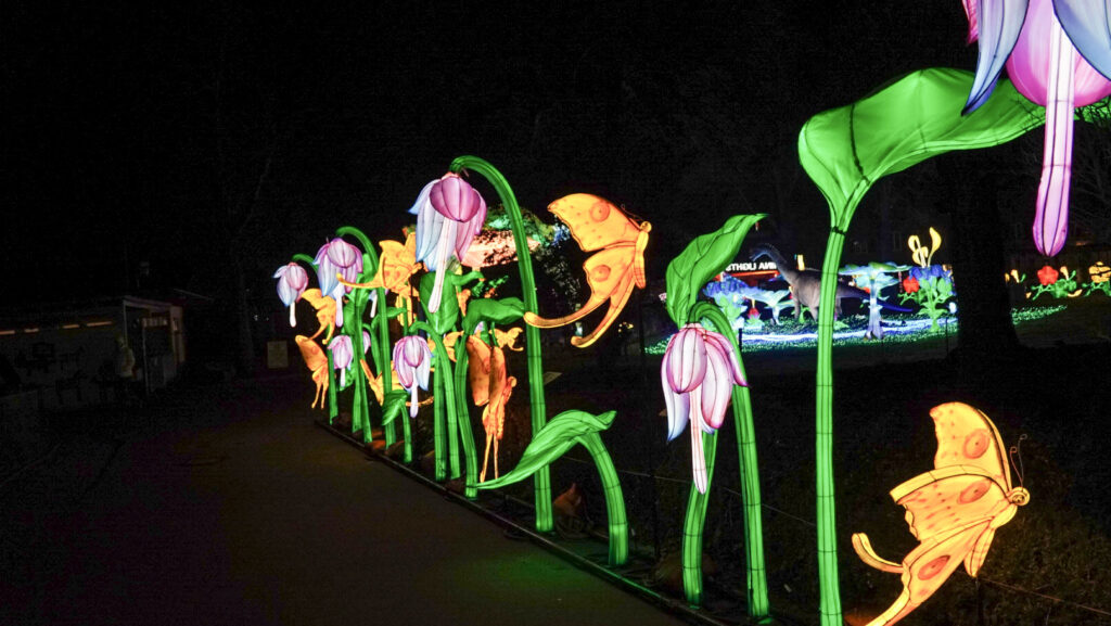 China Lights im K&ouml;lner Zoo