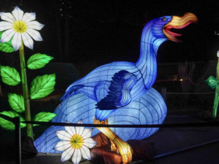 China Lights im K&ouml;lner Zoo