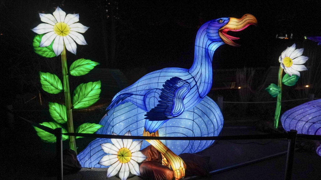 China Lights im K&ouml;lner Zoo