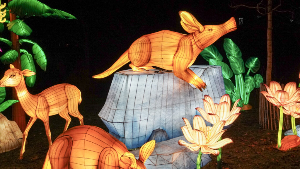 China Lights im K&ouml;lner Zoo