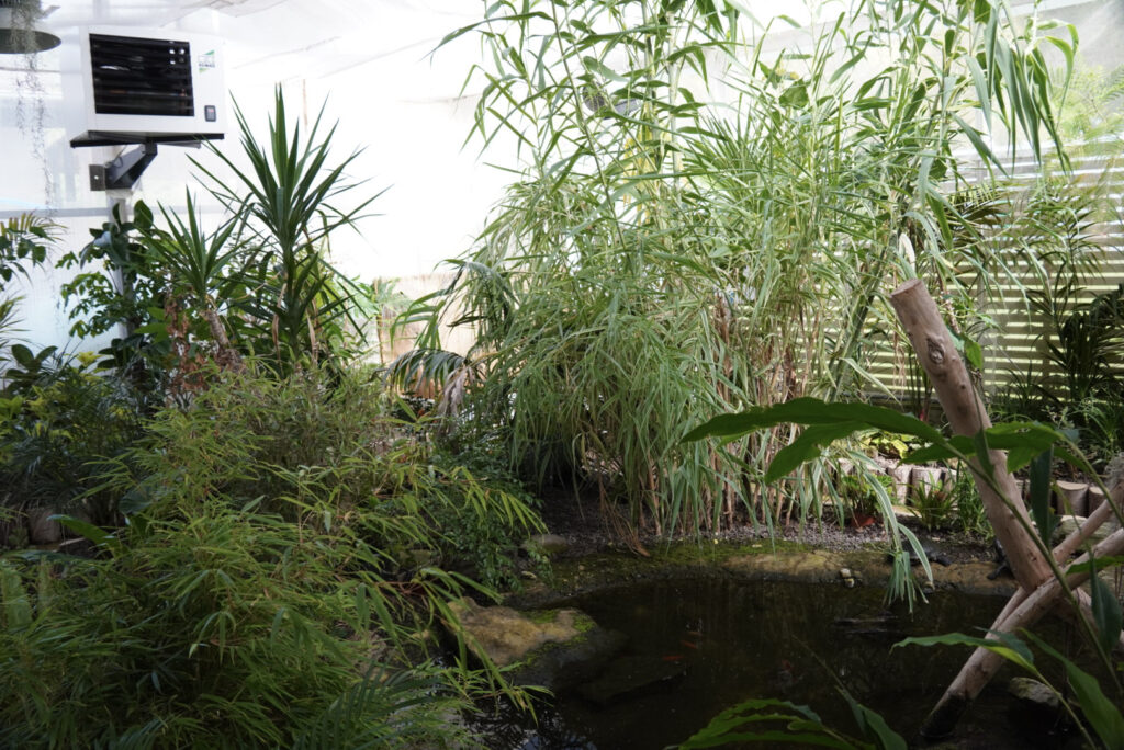 Eifalia Schmetterlingsgarten