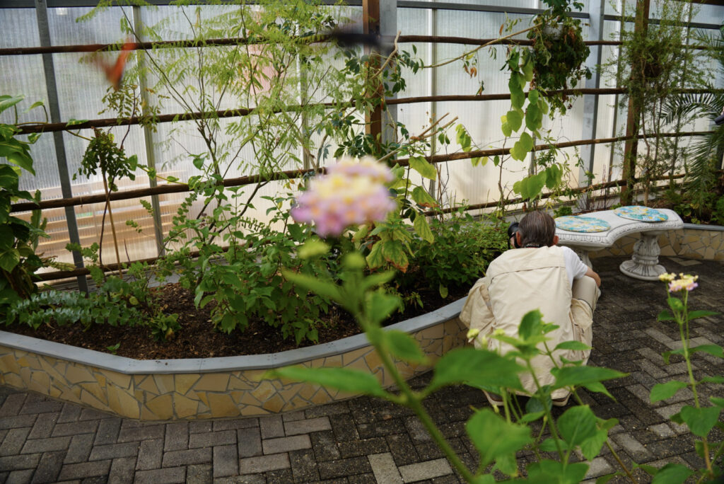 Eifalia Schmetterlingsgarten