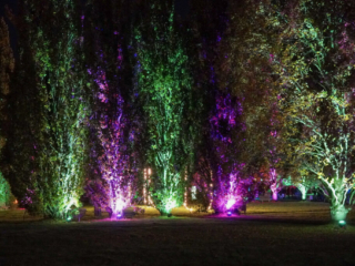 Herbstlichter Brückenkopfpark Jülich Herbstlichter Brückenkopfpark Jülich