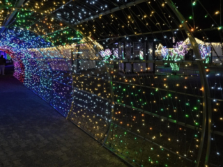 Garden of Lights Garden of Lights