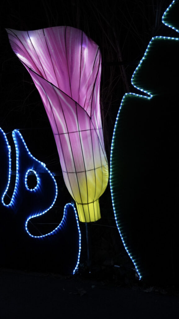 China Lights im K&ouml;lner Zoo