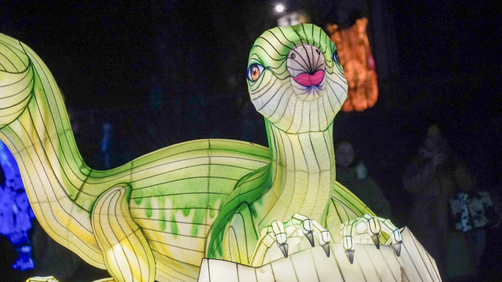 China Lights im K&ouml;lner Zoo