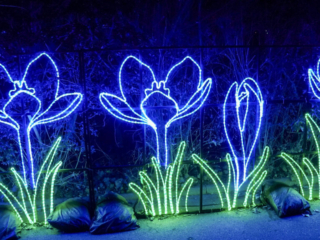 China Lights im K&ouml;lner Zoo