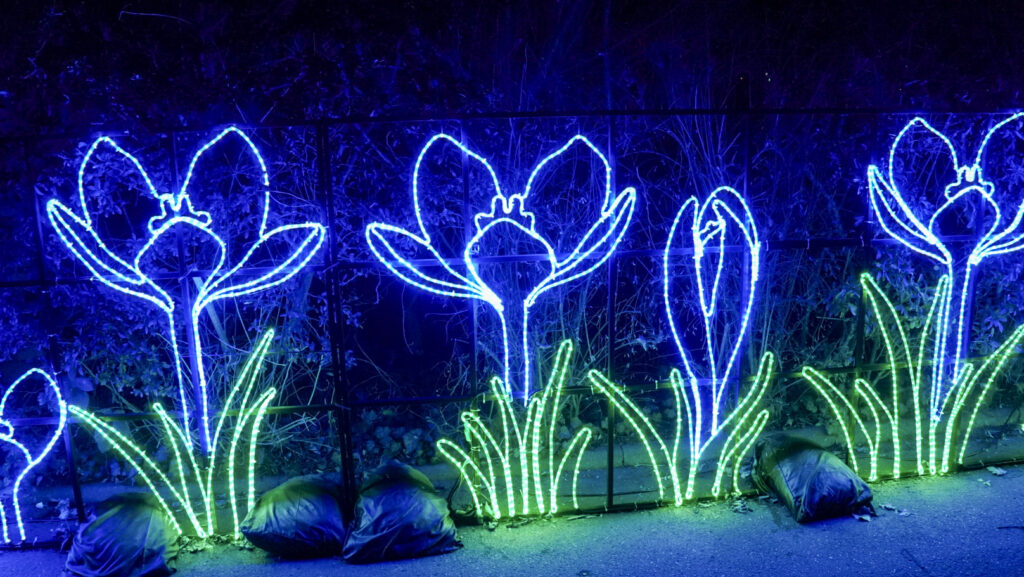 China Lights im K&ouml;lner Zoo