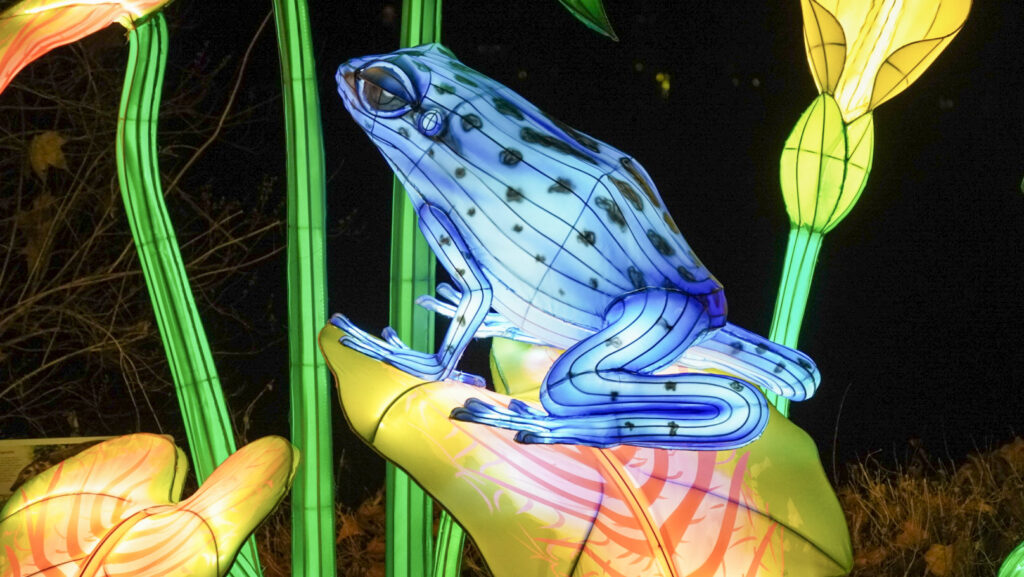 China Lights im K&ouml;lner Zoo