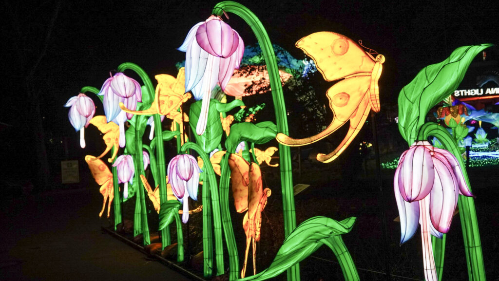 China Lights im K&ouml;lner Zoo