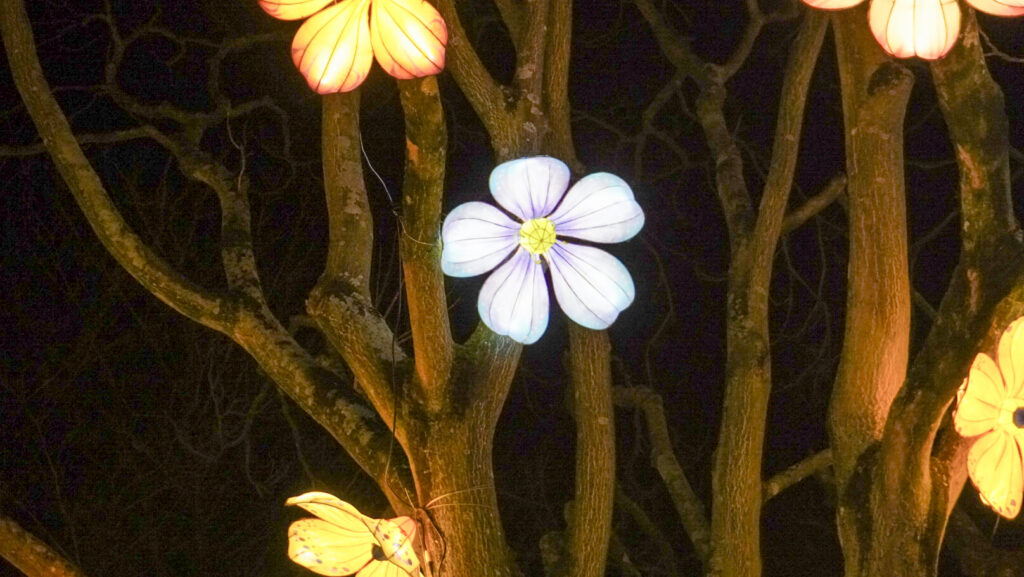 China Lights im K&ouml;lner Zoo