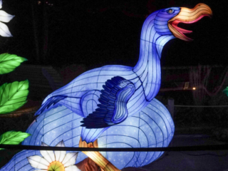 China Lights im K&ouml;lner Zoo