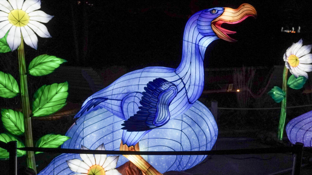 China Lights im K&ouml;lner Zoo