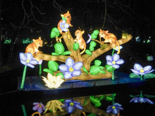 China Lights im K&ouml;lner Zoo